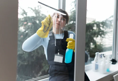 Nettoyage de vitres intérieures et extérieures à la Montagne